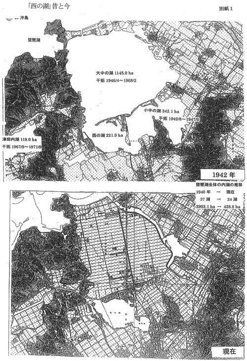 西の湖昔と今